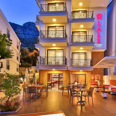 فندق Lale كاس